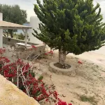 Tatil Evi The Elaia House Mykonos
