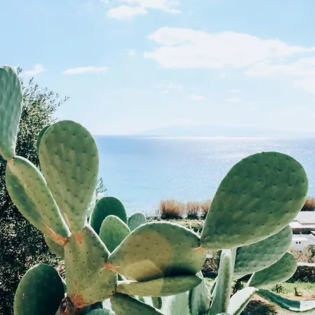 Дом отдыха The Elaia House Mykonos *