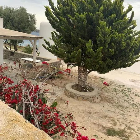 Дом отдыха The Elaia House Mykonos