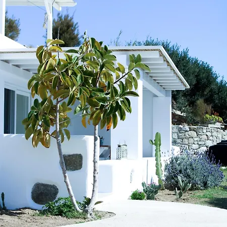 펜션 The Elaia House Mykonos