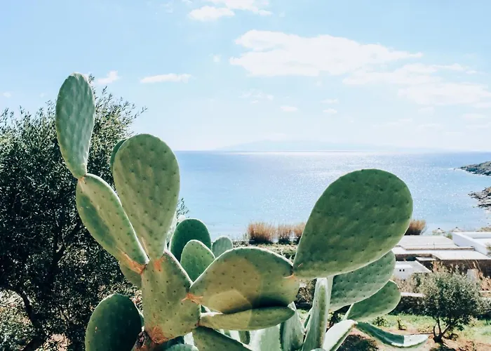 別荘 The Elaia House Mykonos *