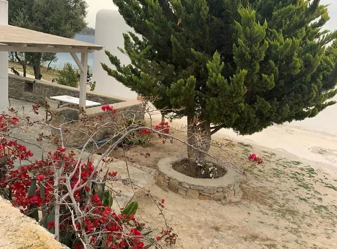 Semesterbostad The Elaia House Mykonos